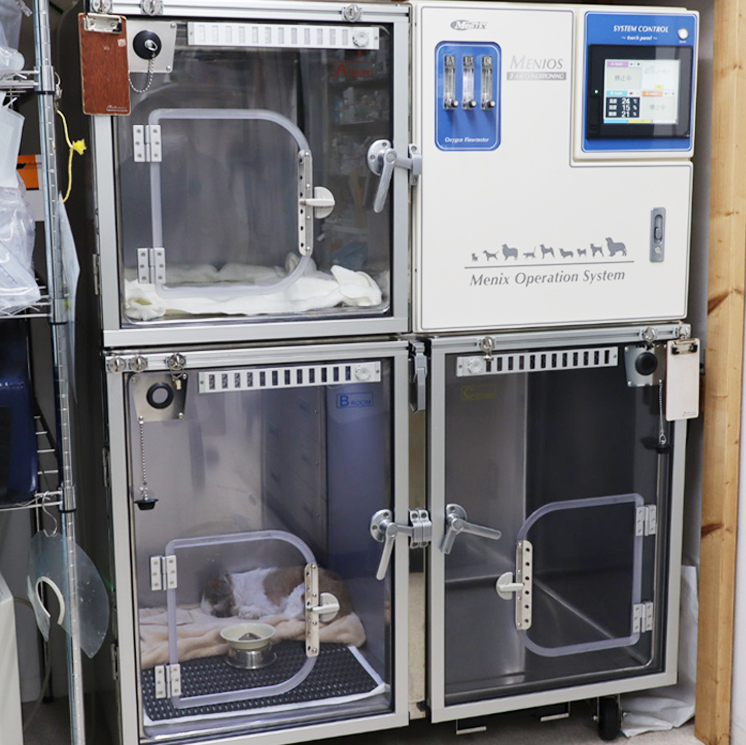 動物用ICU（ICU-MENIOS）