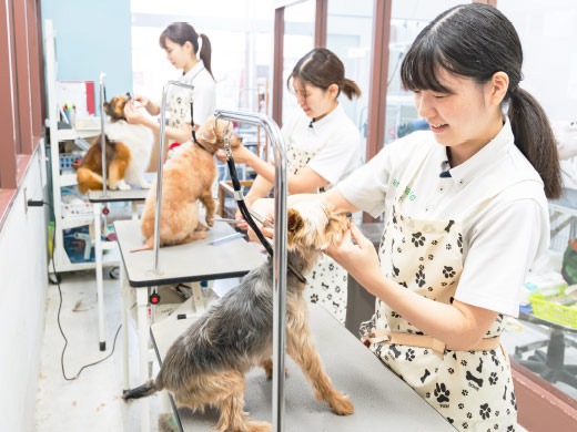 トリミングサロン