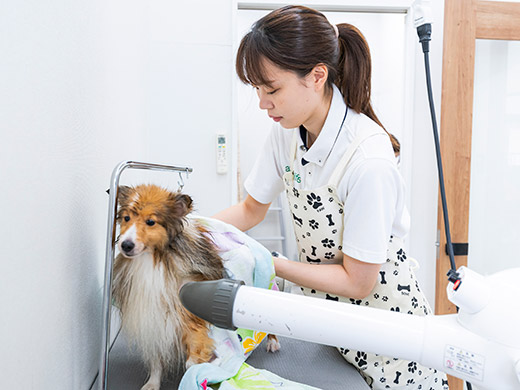 トリミングサロン