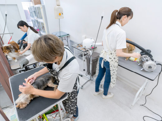 トリミングサロン