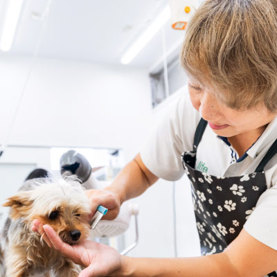 トリミングサロン