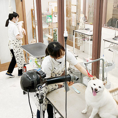 トリミングサロン