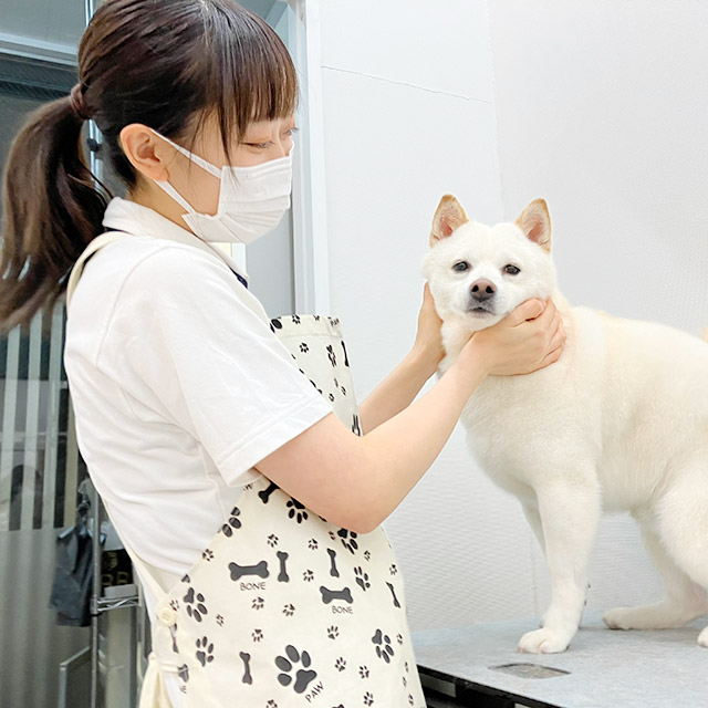 トリミングサロン