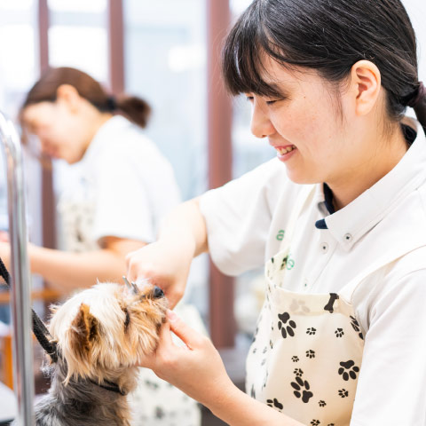 トリミングサロン